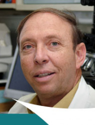 Reuven Or M.D.