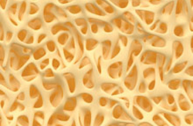 cancer_yellow.jpg