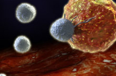 drug_delivery_10051984.jpg