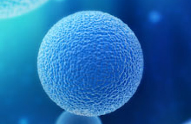 drug_delivery_benita_60052699.jpg