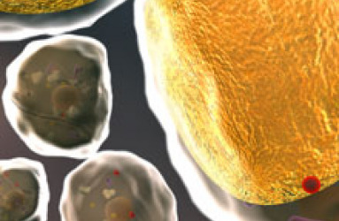 metabolism_60131261.jpg
