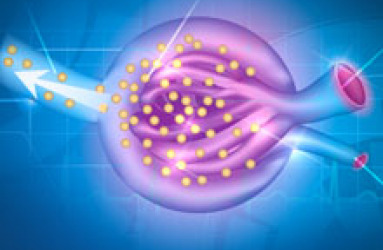 metabolism_87600726.jpg