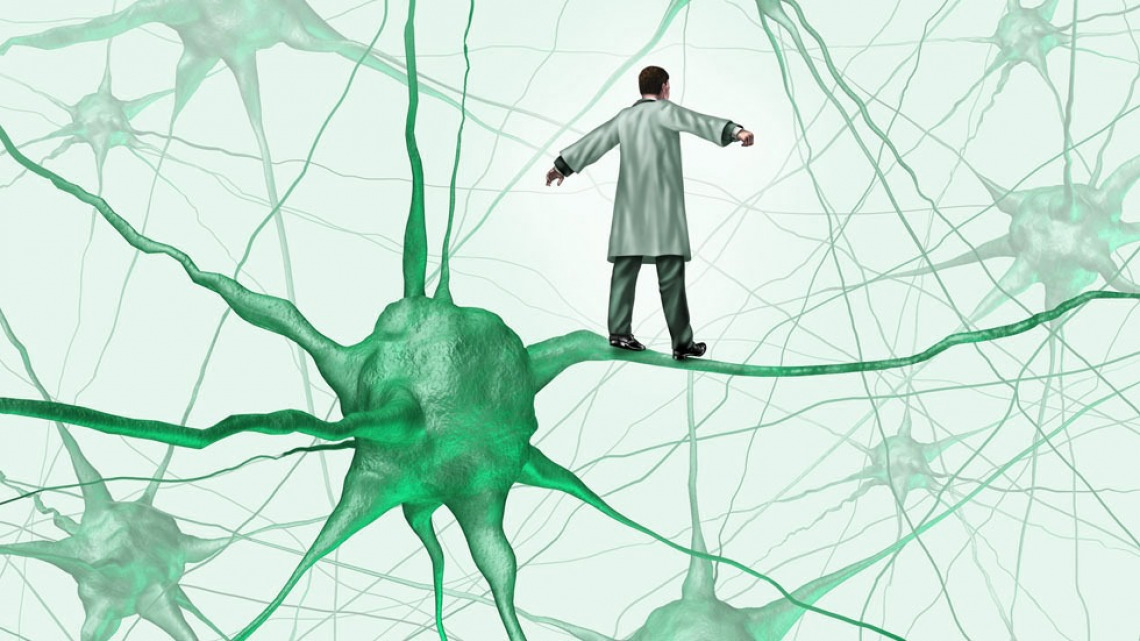 See the list of our researchers