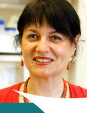 Francesca Levi-Schaffer Ph.D.